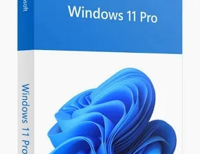Windows 11 Pro